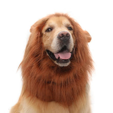 Pet Supplies Dog Wig Lion Head Cover